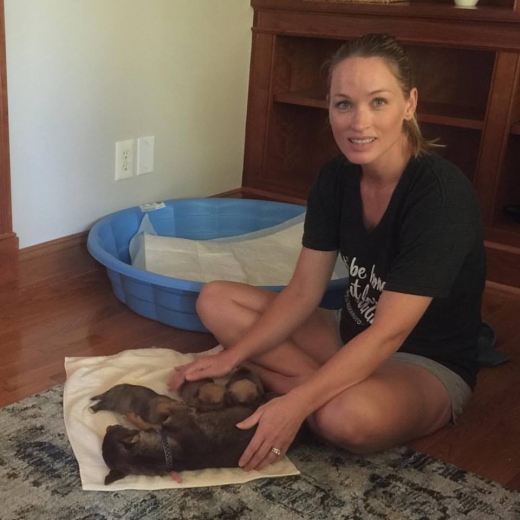 사진작가 켈리 프랑켄버그는 지역 동물보호소에 등록돼 있는 유기견들이 잘 입양될 수 있도록 사진을 찍어 공개하는 활동을 시작했다.