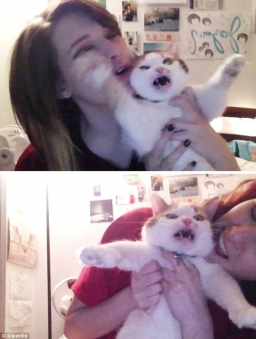 사진 속 고양이는 “이거 놔”라고 말하듯 발버둥치는 모습이다.