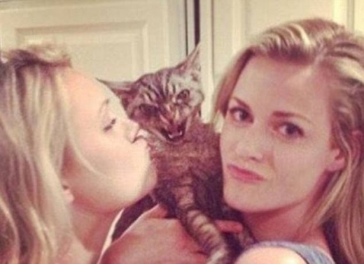 사진 속 고양이는 진심 화가 난 모양이다.