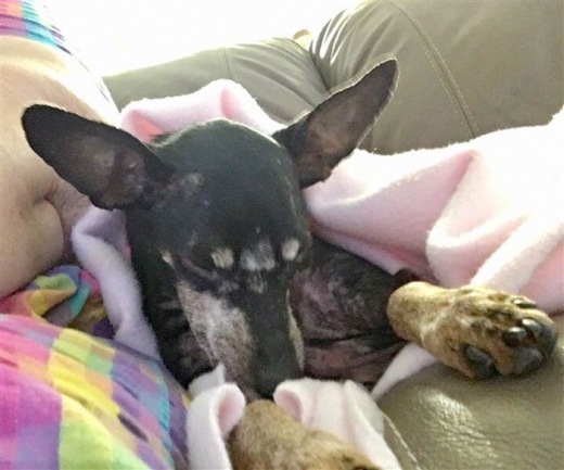 앤드류스는 “양털 담요에 몸을 돌돌 말아있는 제이크가 마치 부리또 같다”고 농담을 했다.