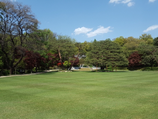 청와대 녹지원 터. 주로 어린이 날 행사와 같은 외부 행사의 장소로 사용되는 공간이다.