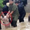 홍수에서 구조된 돼지의 미소…‘내가 바로 복(福)돼지’