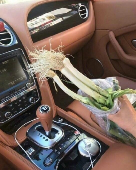 벤틀리 보상비조로 노인이 선심 쓰듯 던져준 파 한 단. 벤틀리 차주가 들어보이고 있다. (사진=텐센트뉴스)