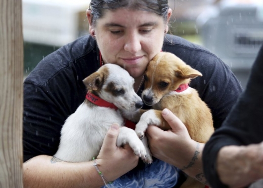 한 자원봉사자가 섬에서 구출한 개들을 안고 있다.