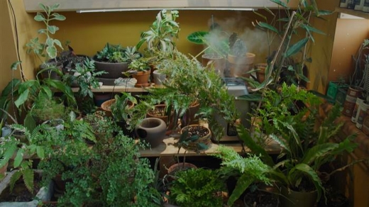 정원이 되버린 옷장. (사진=엔비씨)