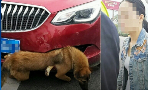 사고차량과 차주 후씨. (사진=웨이보)