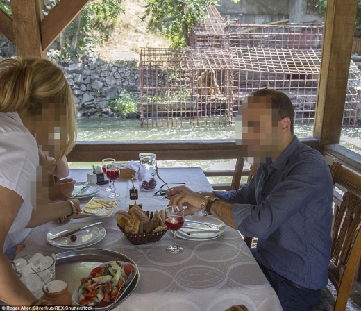 구조 전 레스토랑 내부에서 바라본 곰의 철창