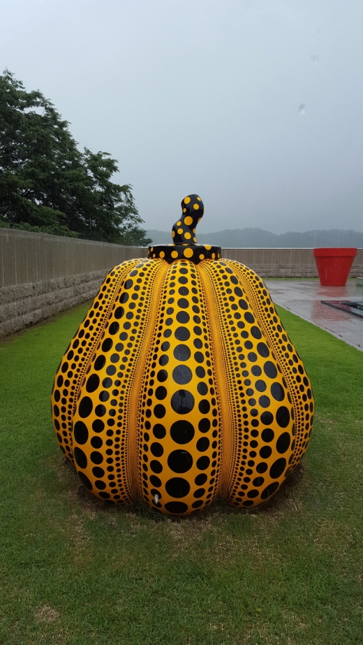 현대미술관 과천관 야외 전시품들도 눈여겨 볼만한다. 일본 작가인 쿠사마 야요이의 2006년작 ‘호박(Pumpkin)’