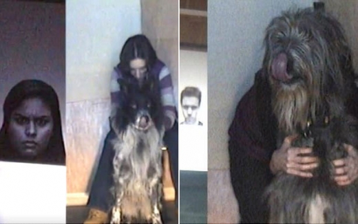 대체로 개는 화가 난 사람의 얼굴을 봤을 때 혀를 날름거리는 행동을 자주 보였다.(나탈리아 알부케르키)