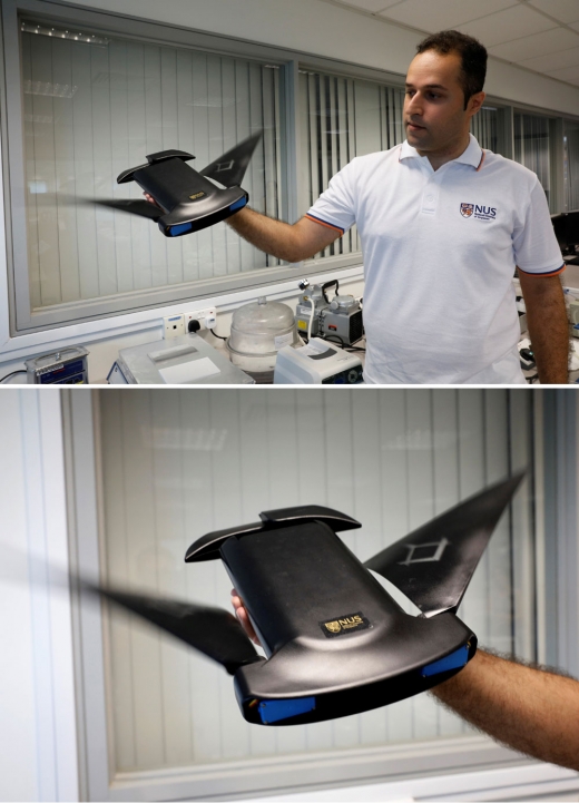 싱가포르국립대 연구팀은 PVC 시트로 유연성 있는 지느러미를 만들고 거기에 독자적인 모터를 탑재해 최대 10시간 동안 작동하는 수중 로봇 ‘만타드로이드’를 제작했다.(REUTERS 연합뉴스)