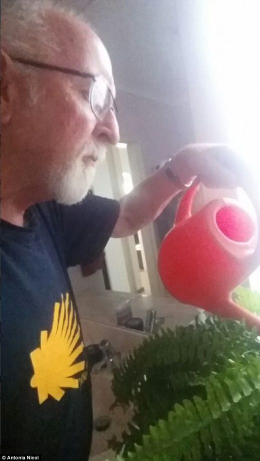 아내가 부탁한 식물들의 정체도 모른체, 지극정성으로 보살폈던 남편.