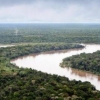 [여기는 남미] ‘지구의 허파’ 아마존에 도로 건설 논란