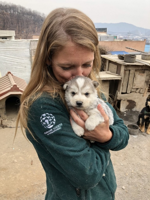 국제동물보호단체 휴메인 소사이어티 인터네셔널(Humane Society International) 제공