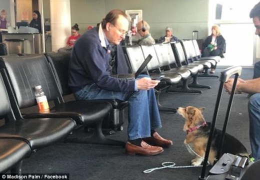 코라가 공항에서 처음 본 남성에게 눈을 떼지 못하고 있다.