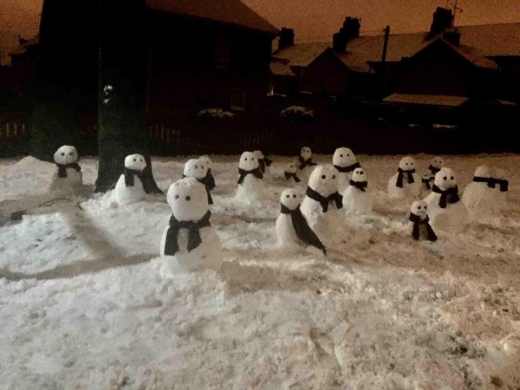 결국 지역 주민까지 합세해 더 많은 눈사람이 만들어졌다.