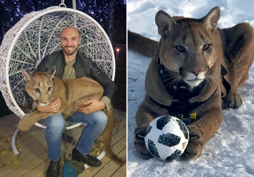 ‘메시’는 커플의 특별한 애완동물로 잘 자라고 있다.