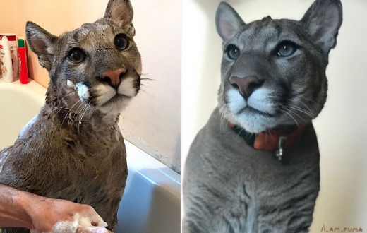 SNS에서도 큰 사랑을 받고 있다.