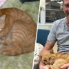 허리케인으로 실종된 고양이, 14년 만에 주인 품으로