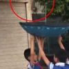 [여기는 중국] 우산으로 기지 발휘…고양이 구한 中초등생 (영상)