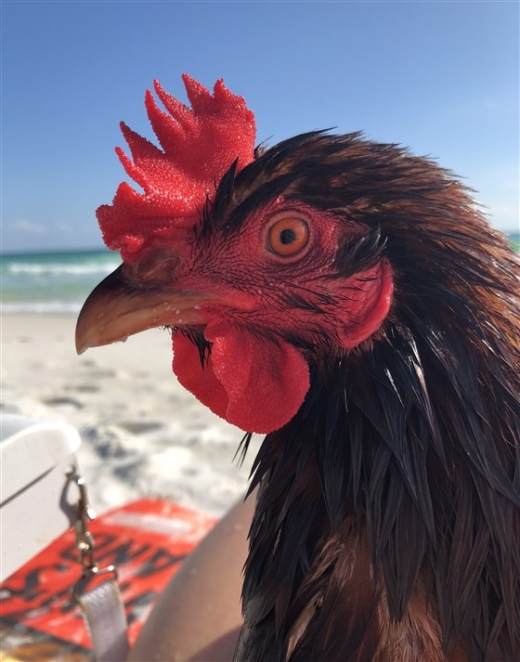 어느새 훌쩍 자랐다.