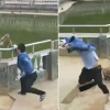 연못에 원숭이 밀어버린 中관광객, 원숭이 떼에 보복당해