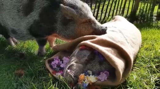 자신의 코를 신쳬에게 가져다 대고 잠시 묵념하는 듯한 스팟.