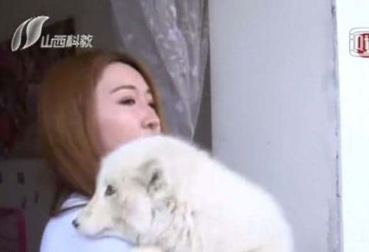 주위 사람들도 그녀의 애완동물이 개가 아닌 여우라고 추측했다.