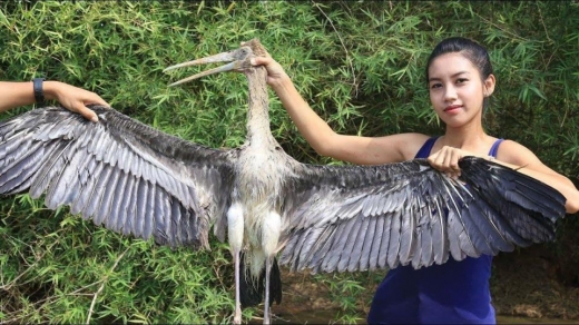 큰 왜가리.