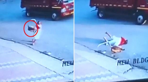 아무것도 모르고 길을 걷던 여성이 원숭이에게 맞아서 땅에 떨어졌다.