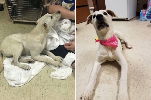 목욕을 시킨 후 몸에 낙서자국이 완전히 지워지지는 않았지만 마르벨라는 한층 밝아졌다.