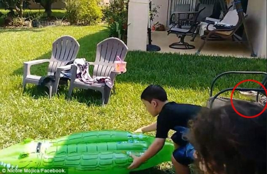 다행히(?) 촬영이 진행되는 동안 아무도 악어의 존재를 눈치채지 못했다.