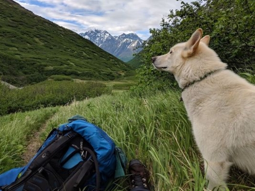 밀링은 “나눅을 처음 보았을 때, 늑대라고 생각했다. 하지만 나눅의 목걸이를 보고 나를 구해주러 왔음을 깨달았다”고 말했다.