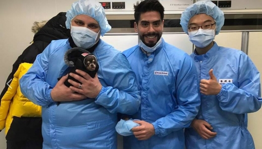 수암바이오텍 연구팀은 밀리가 작은 몸집을 갖게 된 유전적 비밀을 밝히기 위해 복제 개 49마리를 만들었다.