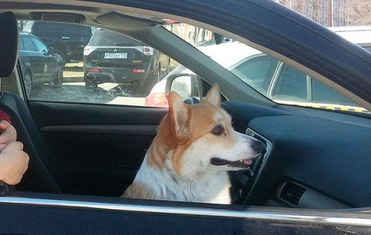 포스카는 프롤렌코바의 친척들이 돌볼 예정이다.