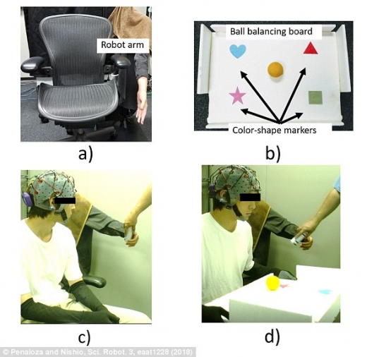 연구논문에 실린 자료 이미지.