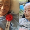 日 117세 할머니, 세계 최고령 인증 직전 사망