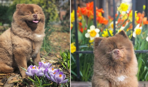 꽃향기에 심취한 버트램.