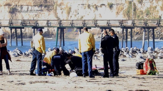 이후 긴급 구조대와 의사는 그녀가 몽고메리를 살렸다고 입을 모아 말했다.
