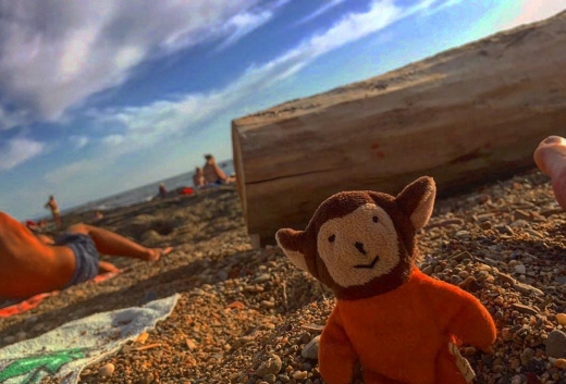 피글리올리는 해변에 갔을 때도 베일리의 장난감을 가지고 갔다.