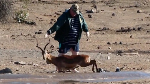 진창에서 구출된 임팔라.