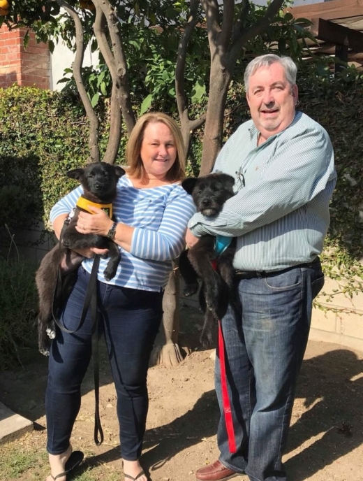 해외입양간 새솔과 새론이