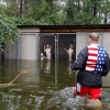 허리케인 플로렌스로 익사할뻔한 개들 구한 자원봉사자 (영상)