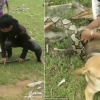 개 구하려고…거대 뱀 힘 합쳐 물리친 세 아이 (영상)