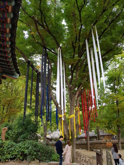 한국민속촌은 젊은 연인들이 데이트하기에도 좋은 장소다