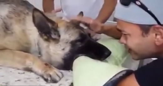 플로라의 의식이 희미해져가자 동료 경찰은 눈물을 흘렸다.