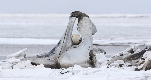 사진=에이지 이토야마