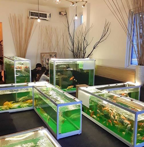 10월 현재, 새로운 모습으로 바뀐 카페.