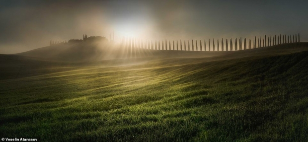 오픈 부문 최종 우승작. 이탈리아 토스카나에 있는 어느 언덕의 모습. 사진작가=베젤린 아타나소프.
