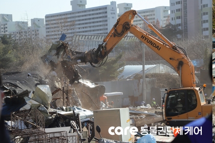 [애니멀구조대] ‘전국 최대 규모’ 개 도살장, 역사의 뒤안길로