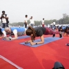 인도 2353명 1분간 플랭크 자세 버텨…세계 신기록 수립